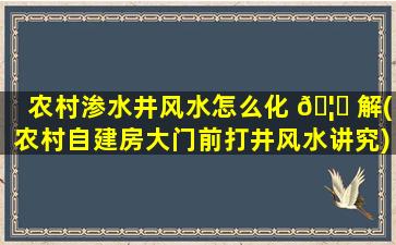 农村渗水井风水怎么化 🦉 解(农村自建房大门前打井风水讲究)